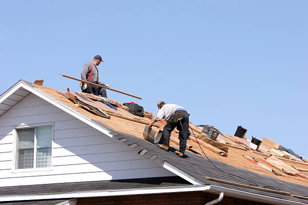 Best Roof Moss and Algae Removal  in Ocean Park, WA